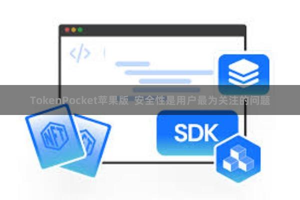 TokenPocket苹果版 安全性是用户最为关注的问题