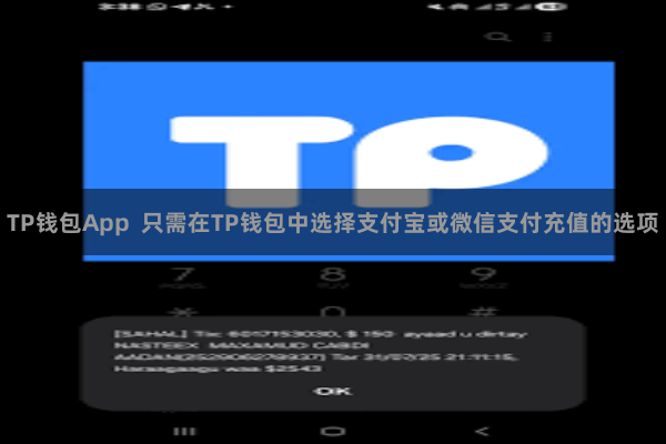 TP钱包App  只需在TP钱包中选择支付宝或微信支付充值的选项